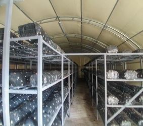 20160525_150136_HDR - نسخة