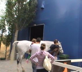 خيمة مانيج 6