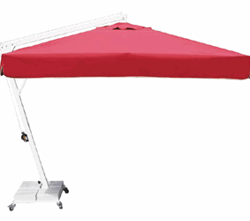 العمود الجانبي